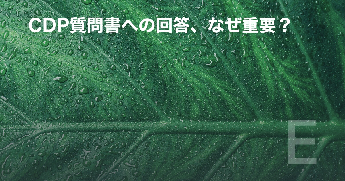 CDP質問書への回答、なぜ重要？